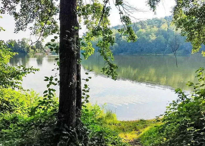 Tatil Evi Tim's Alm Am Silbersee By Interhome Frielendorf